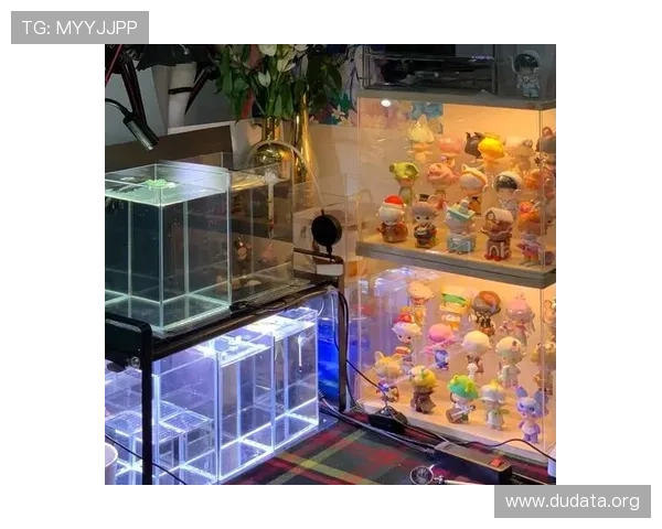 斗鱼直播间的设备选择与布置指南，打造专业高品质的直播环境体验