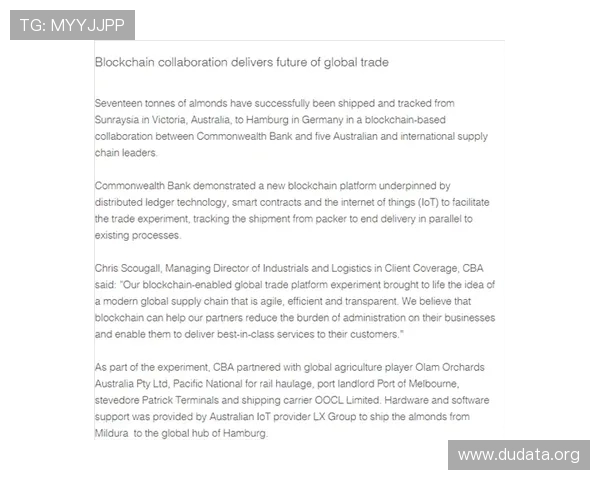 厄瓜多尔德国比赛结束后专家深度解析:比赛中的战术变化与关键因素 厄瓜多尔德国比赛结束后专家深度解析:比赛中的战术变化与关键因素